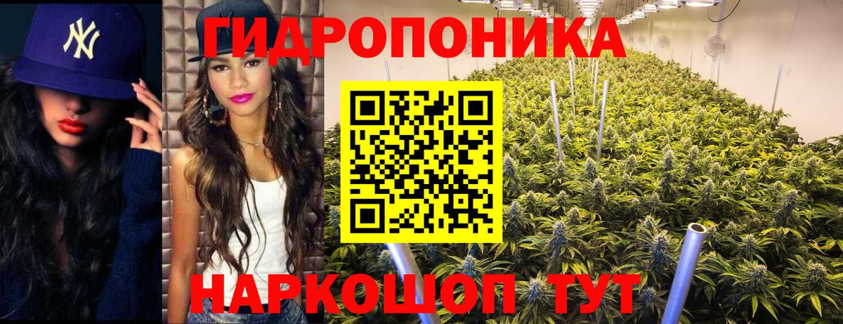 Шишки марихуана конопля Пыть-Ях